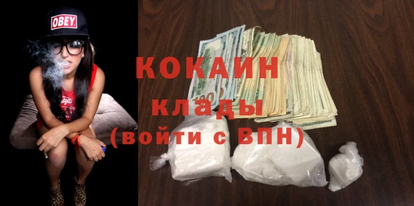 СК Дмитров
