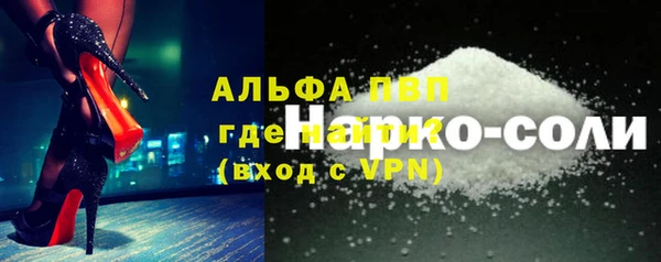 СК Дмитров