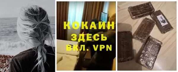 СК Дмитров