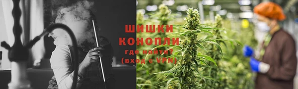 СК Дмитров