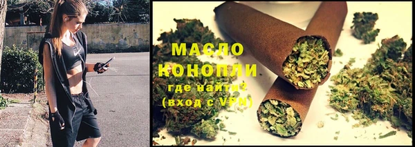 мдпв Дмитровск