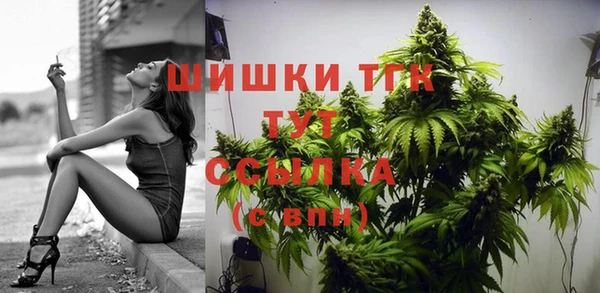 мдпв Дмитровск