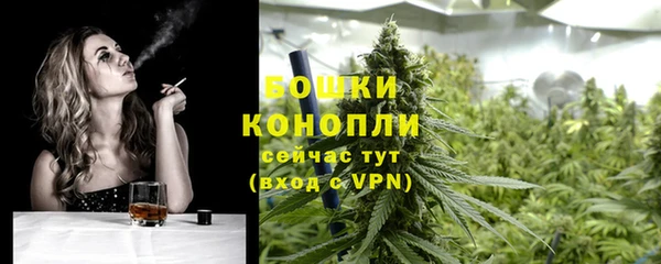 СК Дмитров